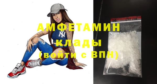 молекула духа Алексин