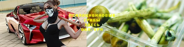стаф Алексеевка