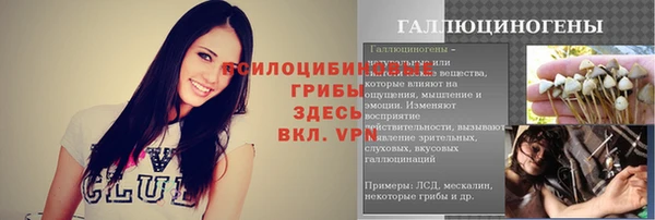 стаф Алексеевка