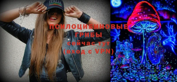 молекула духа Алексин