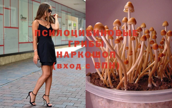 стаф Алексеевка