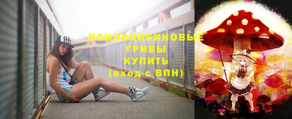 стаф Алексеевка